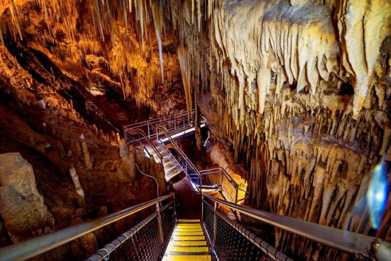 Hobart: Tahune Airwalk, Hastings Cave, Thermal Springs Tour - Who Is This Tour Best For?