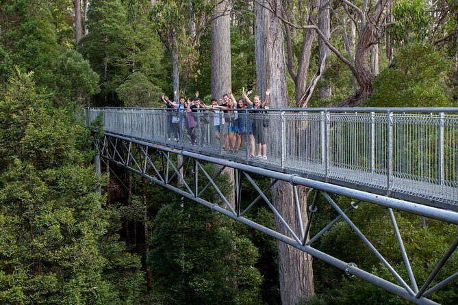Hobart: Tahune Airwalk, Hastings Caves & Thermal Springs Pool - The Sum Up
