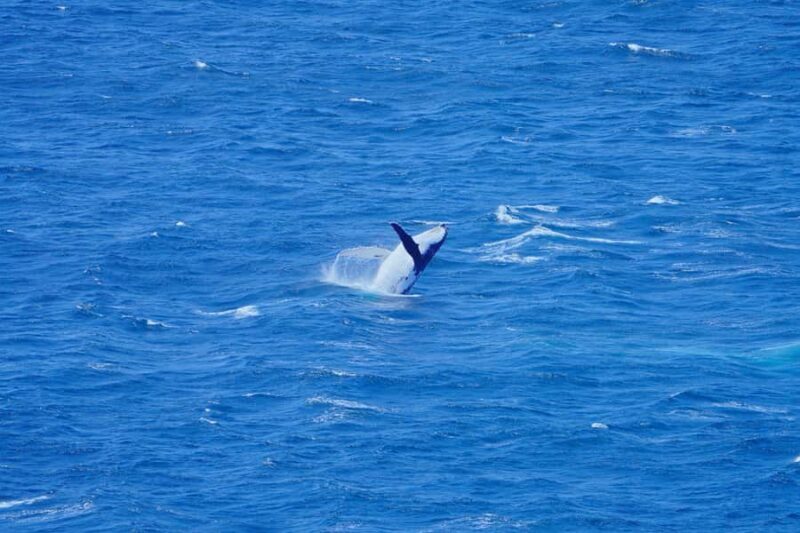 Hobart: Wineglass Bay, Freycinet Park, and Richmond Tour - A Detailed Look at the Tour Experience