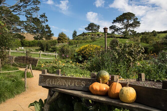 Hobbiton Day Tour from Rotorua with lunch at Hobbiton - The Bottom Line