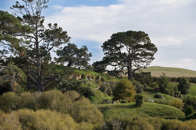 Hobbiton Day Tour from Rotorua with lunch at Hobbiton - FAQ
