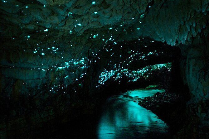 Hobbiton Movie Set and Waitomo Caves Exclusive (1-6 traveler) - The Experience with Reviews & Real Feedback