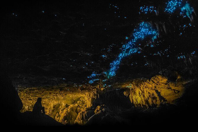 Hobbiton Movie Set and Waitomo Caves Exclusive (1-6 traveler) - Final Thoughts