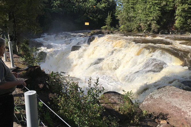 Hobbiton movie set tour and a lot more beautiful NZ sights - Final Thoughts: Who Is This Tour Perfect For?