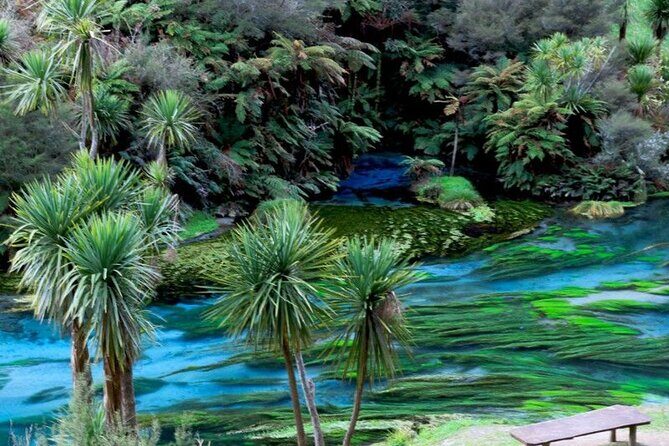 Hobbiton Movie Set Tour to Blue Springs and Mineral Spa - Practical Considerations