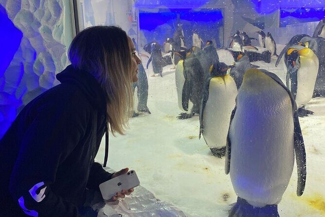 Hobbiton & Rotorua Small Group Tour including Te Puia from Auckland - FAQs