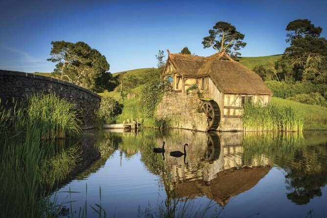 Hobbiton & Waitomo Caves Guided Day Trip from Auckland incl lunch - The Itinerary in Detail