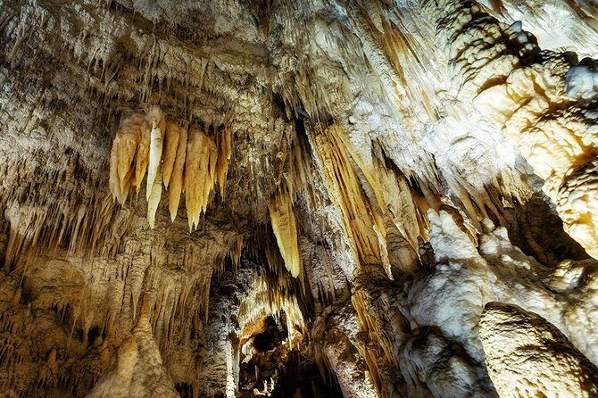 Hobbiton & Waitomo Caves Small Group Tour from Auckland inc Lunch - Lake Karapiro Stop