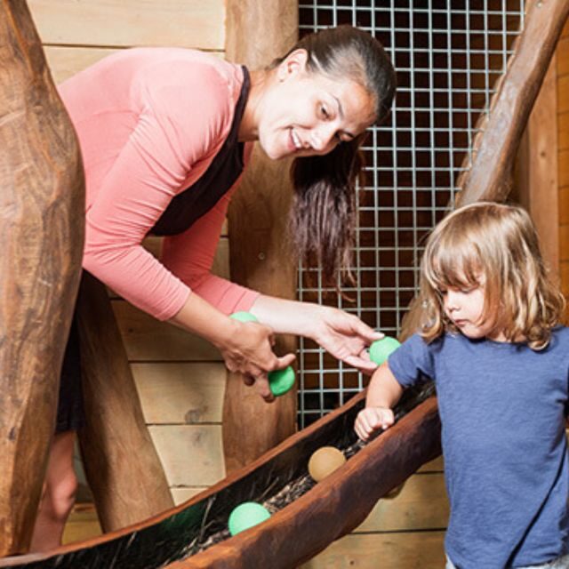 Hobbledown Heath One-Day Entry Ticket - What You Can Expect from Your Visit to Hobbledown Heath