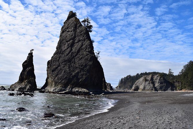 Hoh Rain Forest and Rialto Beach Guided Tour in Olympic National Park - FAQ