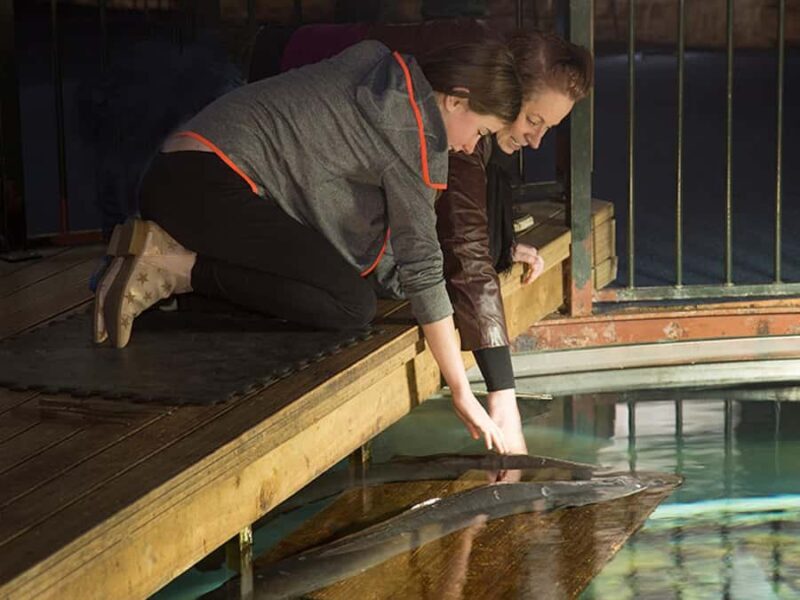 Hokitika: The National Kiwi Centre Tickets - The Review from Visitors