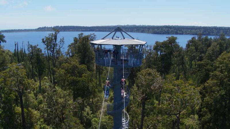 Hokitika: West Coast Tree Top Tower Zip Line and Walk - An Honest Breakdown of the Hokitika Tree Top Walk & Tower Zipline Experience