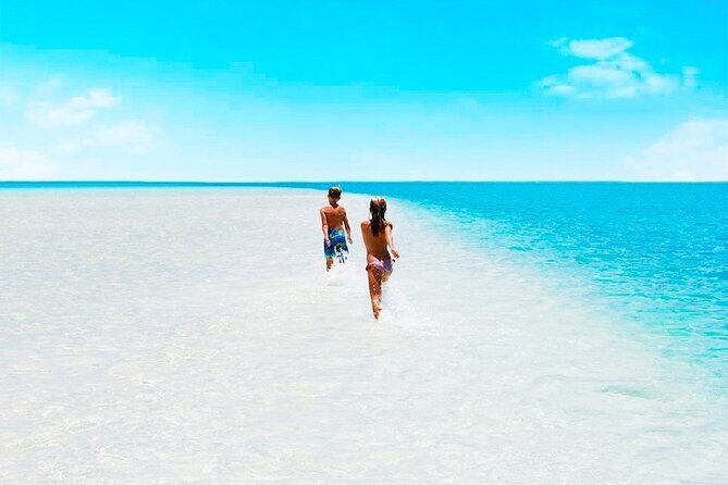 Holbox Beach Adventure! & Punta Mosquito Beaches from Tulum City - What the Tour Offers: A Full Breakdown
