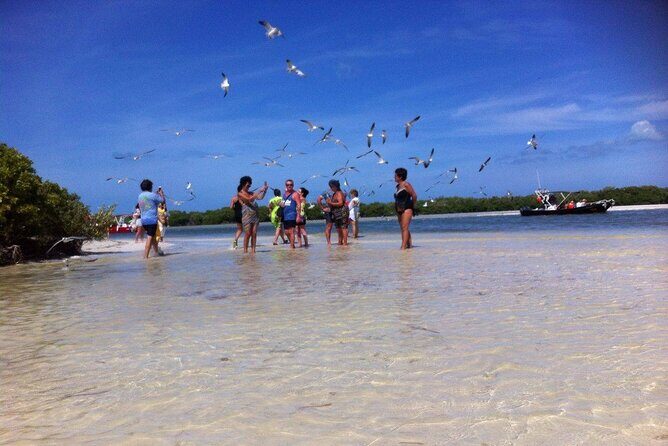 Holbox, Cenote & Isla Pasion from Cancun & Playa del Carmen - Who Is This Tour Best For?