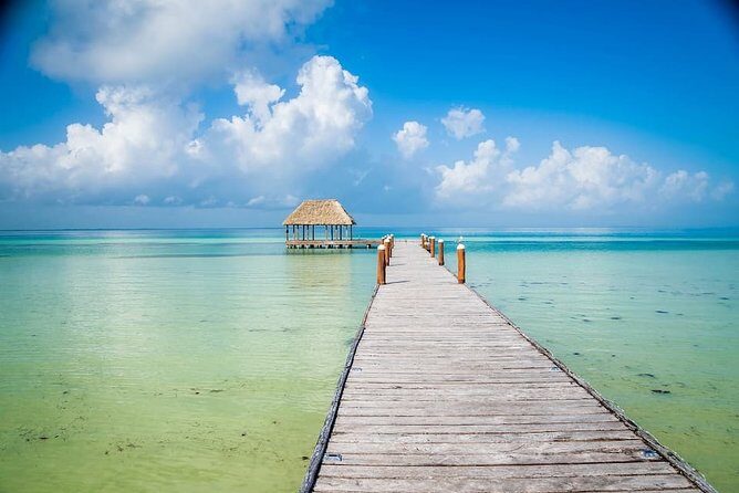 Holbox, Cenote & Two Island! + Punta Mosquito from Cancun - Practical Details and Value