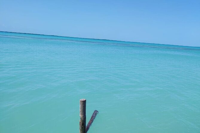 Holbox Exclusive Full Day Tour - Final Thoughts