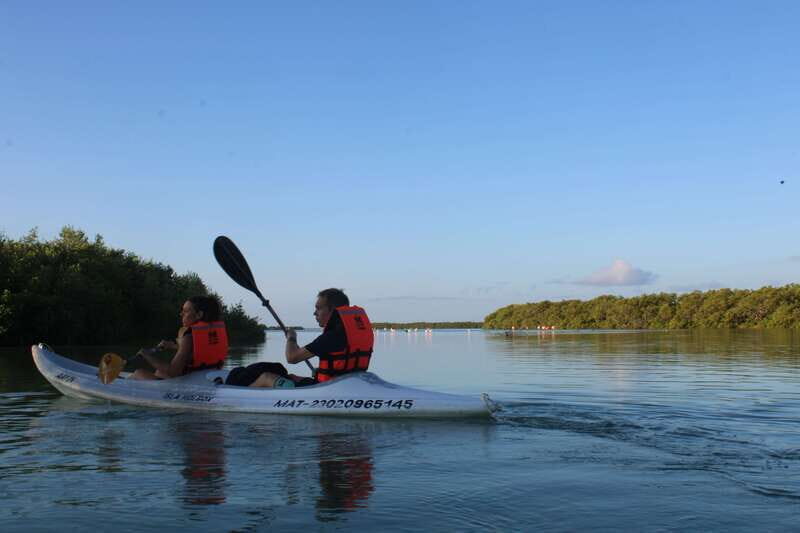Holbox: Guided Sunrise/Sunset Kayak Tour by Mangrove Reserve - Key Points