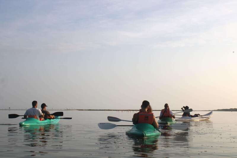Holbox: Guided Sunrise/Sunset Kayak Tour by Mangrove Reserve - Exploring the Experience in Detail