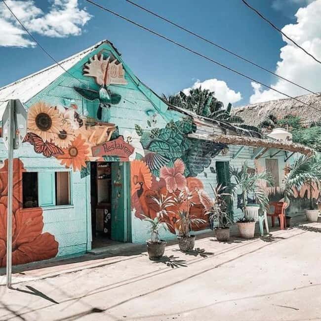 Holbox Island: Feel the Pristine Nature Around You - Real Talk: The Good and the Not-So-Good