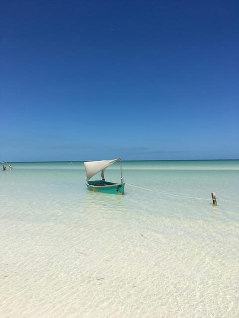 Holbox Island: Feel the Pristine Nature Around You - Who Is This Tour Best For?