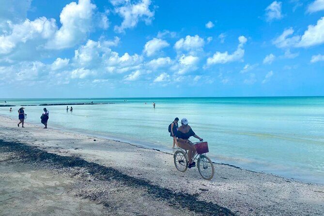 Holbox Island Punta Cocos & Punta Mosquito Tour! Playa Del Carmen - A Close Look at the Tour Experience