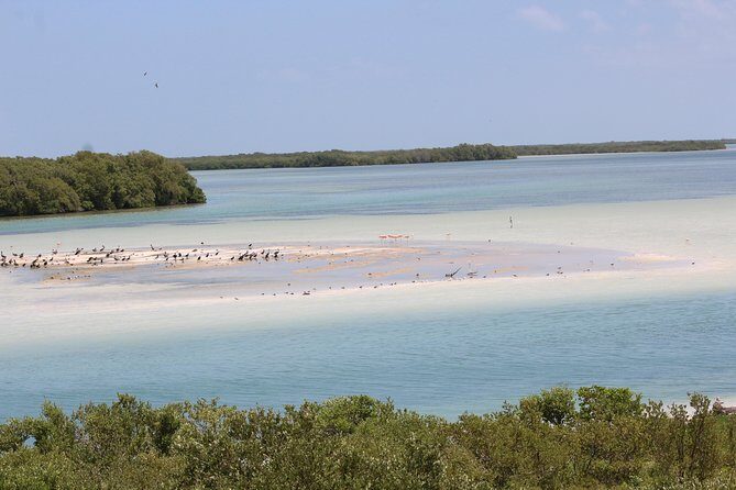 Holbox Island Tour From Cancun - FAQ