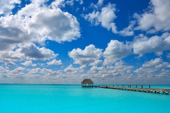 Holbox Island Visit to Punta Mosquito from Cancún - What to Expect from the Tour