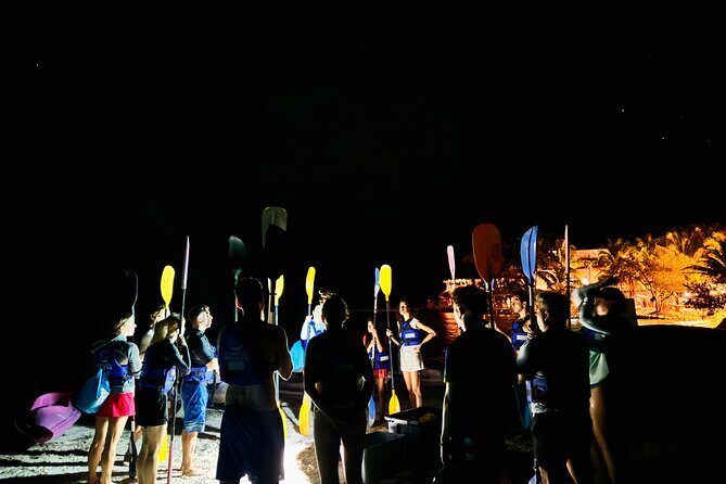 Holbox Kayak Bioluminescence Experience - Final Thoughts