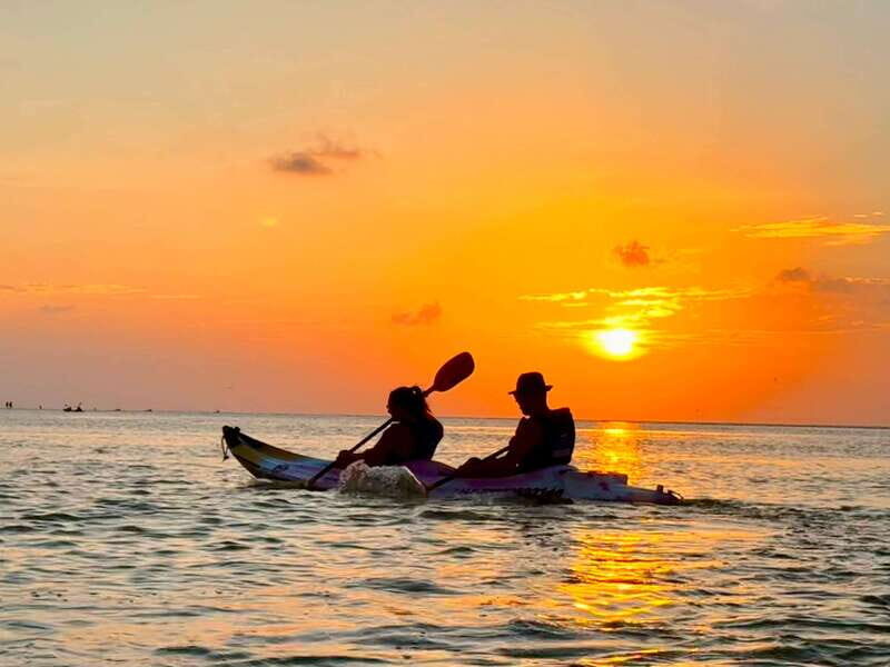 Holbox: Mangrove Sunset Kayak Tour - Key Points