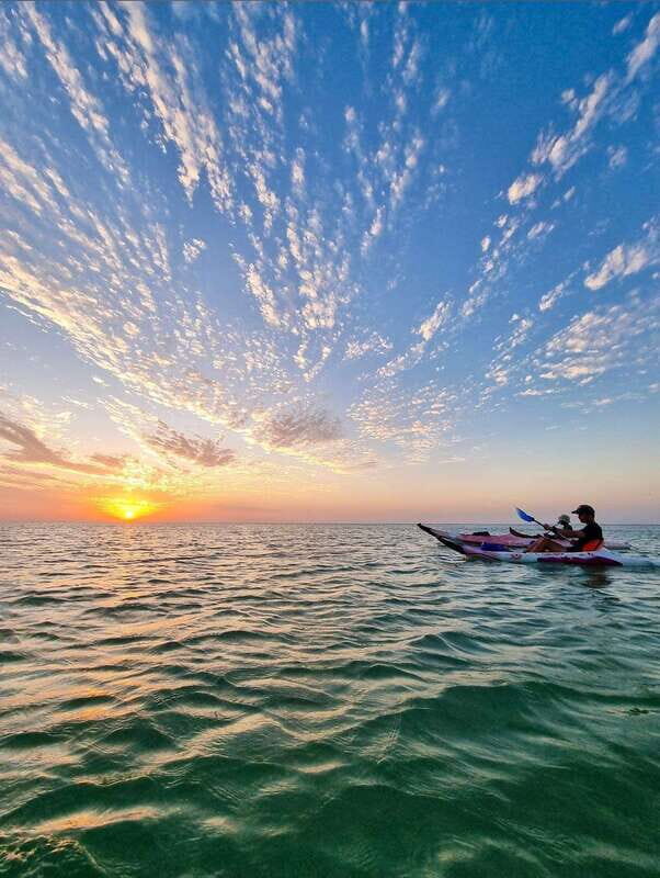 Holbox: Mangrove Sunset Kayak Tour - What to Expect from the Tour