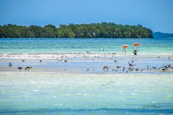 Holbox Paradise Island - FAQ: Your Practical Questions Answered