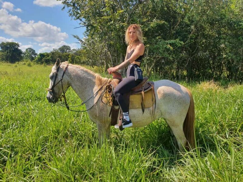 Holbox: Private Horseback Riding - What to Expect from the Horseback Ride on Holbox
