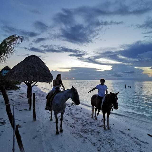 Holbox: Private Horseback Riding - The Sum Up