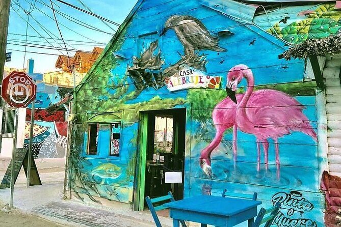 Holbox Punta Mosquitos + Transportation from Riviera Maya - Transportation and Group Dynamics