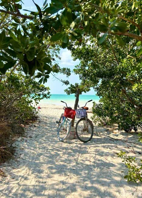 Holbox Self-Guided Tour: Map, Bike, SUP, Coffee & Snack incl - Key Points