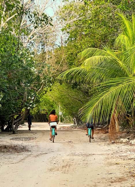 Holbox Self-Guided Tour: Map, Bike, SUP, Coffee & Snack incl - Who Would Love This Tour?