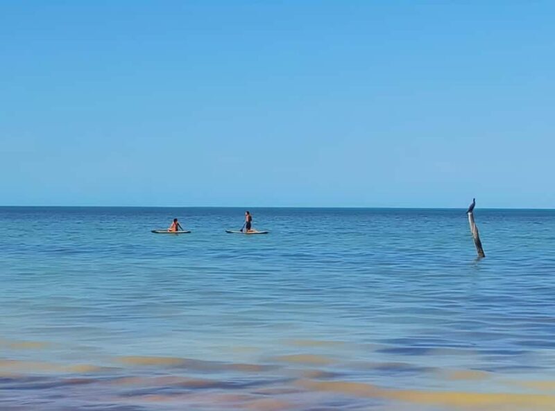 Holbox Self-Guided Tour: Map, Bike, SUP, Coffee & Snack incl - The Sum Up