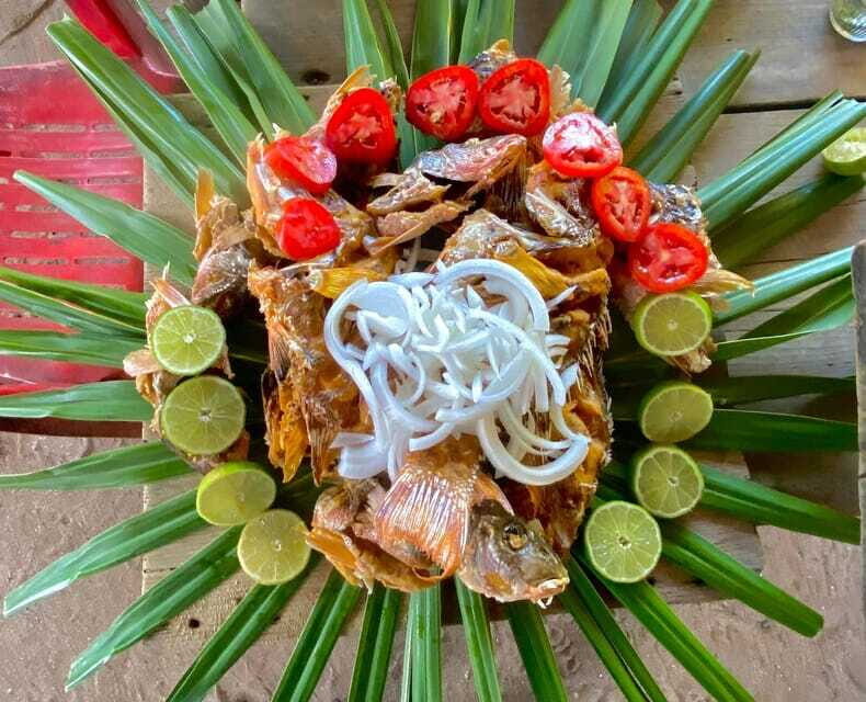 Holbox: Snorkeling, Fishing, and Ceviche Tour - Final Thoughts: Is This Tour Worth Considering?