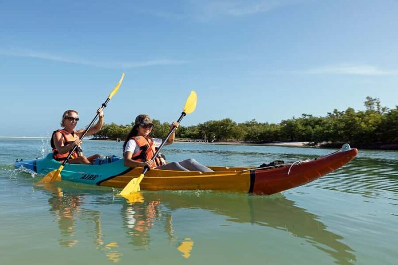 Holbox: Sunrise Kayak Tour through the Mangroves - Who is This Tour Best For?