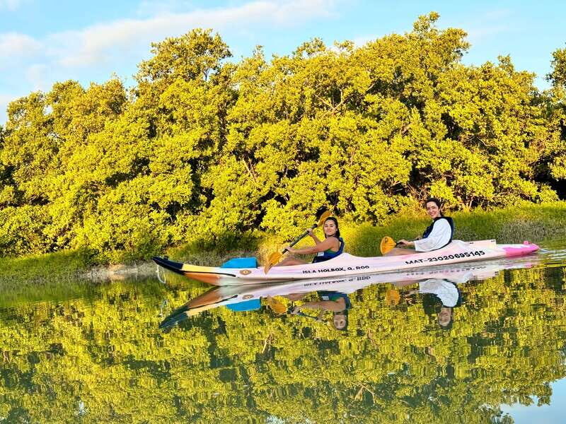 Holbox: Sunrise & Mangrove Kayak Tour - Key Points