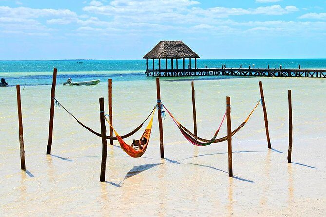 Holbox The Living Dream by boat from Playa del Carmen - Who Is This Tour Best For?