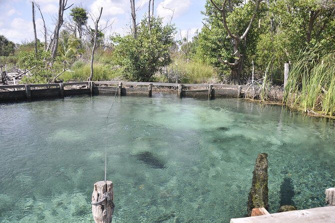 Holbox Tour - Island & Cenote from Cancun and Playa del Carmen - The Journey Through the Tour