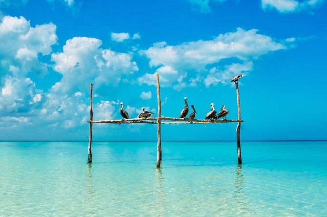 Holbox Tour - Island & Cenote from Cancun and Playa del Carmen - What to Expect and How to Prepare