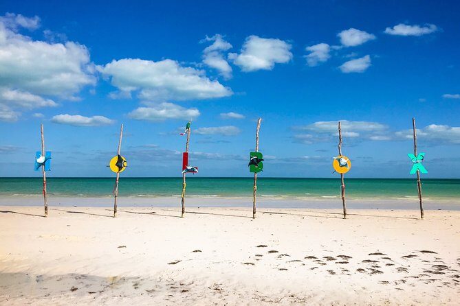 Holbox Tour! Nature Adventure from Cancun & Playa Del Carmen - The Value of This Experience