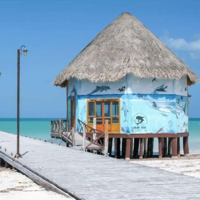 Holbox: Tour of Holbox Island, Isla Pasión, and Punta Mosquito. - Key Points