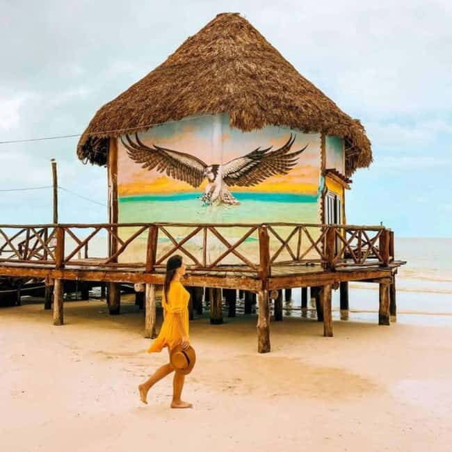 Holbox: Tour of Holbox Island, Isla Pasión, and Punta Mosquito. - FAQ