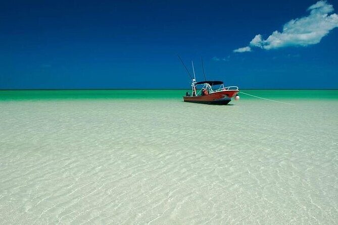 Holbox, Yalahau, Pasion Island & Mosquito beach boat From Tulum - What to Expect from the Tour