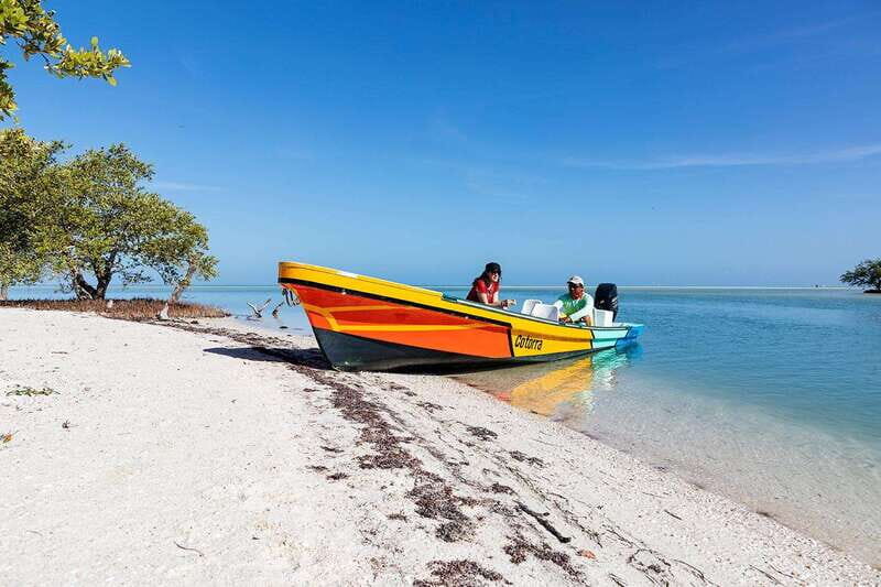 Holbox: Yalahau, Passion Island and Punta Mosquito Boat Tour - Authentic Experiences from Guests