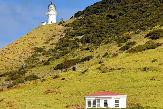 Hole in the Rock Cruise & Island Stopover (Half Day) - FAQ