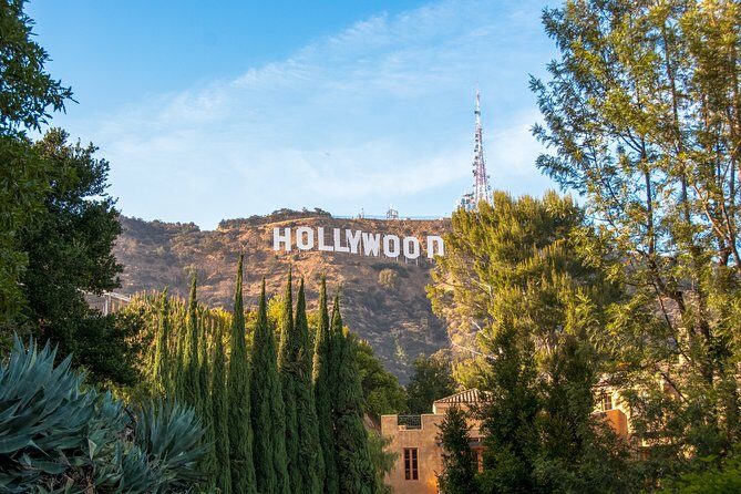 Hollywood and Beverly Hills Tour - Who Is This Tour Best For?